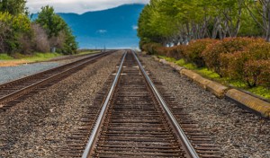 Tracks Toward Blue Mountains